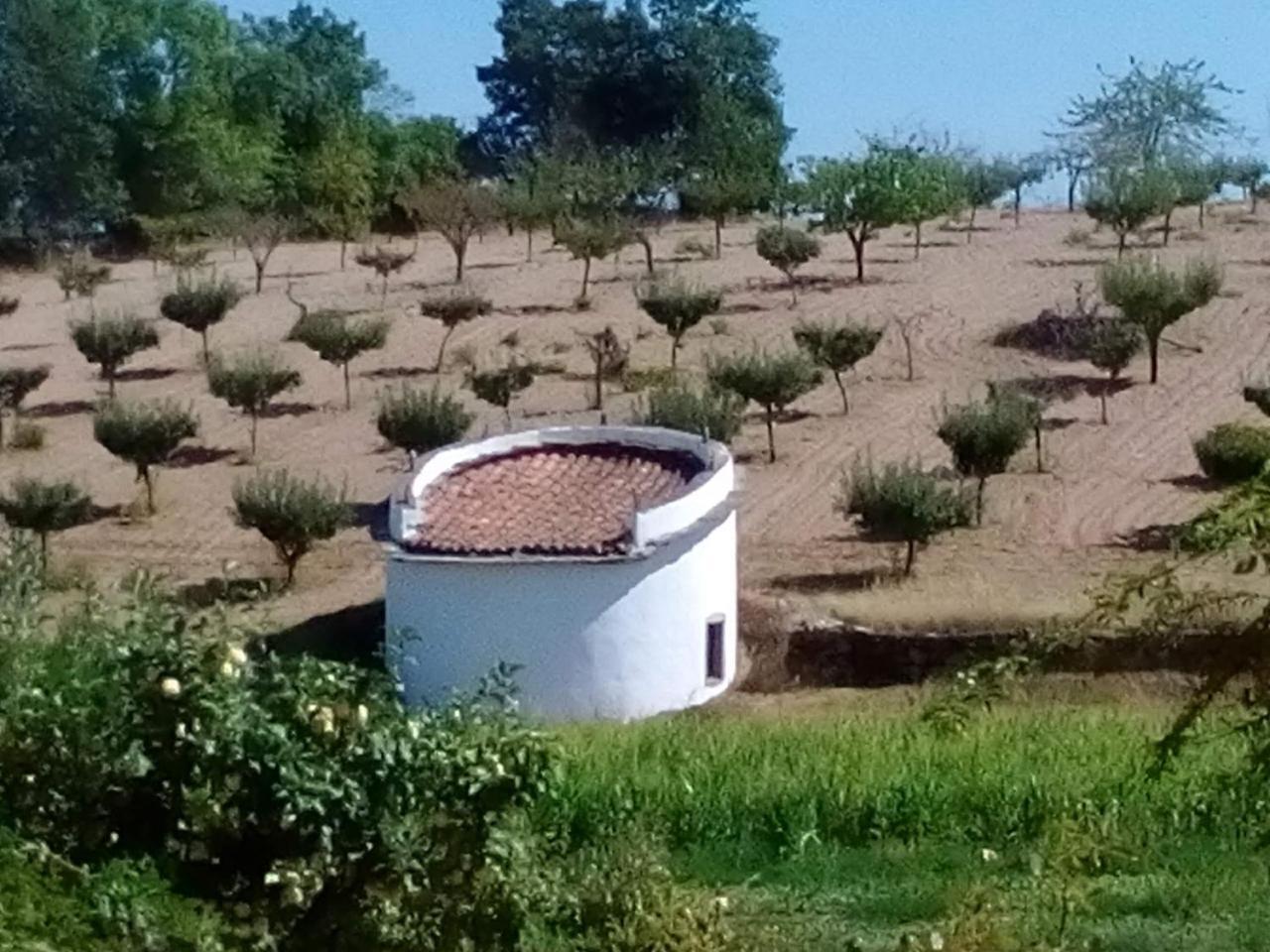 Вилла Casa Dos Pombais De Cacarelhos Rural Экстерьер фото